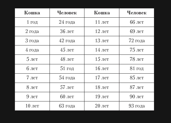 Возврат кошек по отношению к человеку Возврат кошек по отношению к человеку